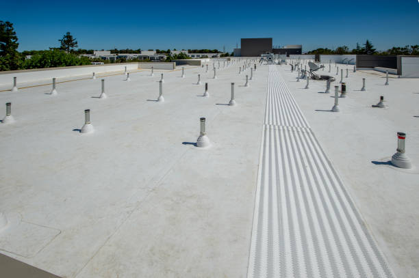 Best Skylight Installation and Repair  in Weston Lakes, TX